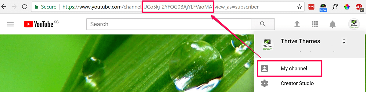 Youtube Channel ID