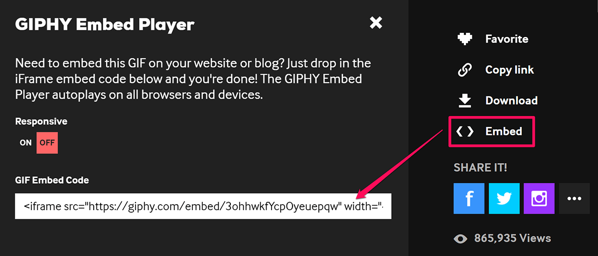 Giphy Embed Code in Thrive Comments