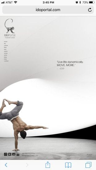 IdoPortal landing page bad example