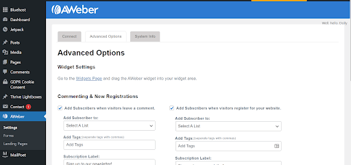 AWeber plugin tab in WordPress Dashboard