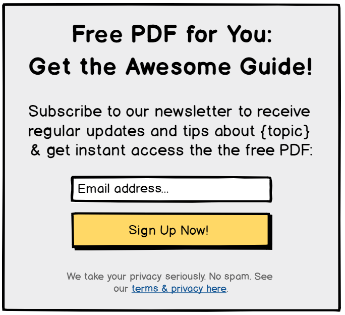 Opt-in form example with newsletter mentioned in the copy