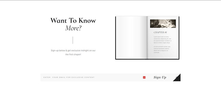 Snapshot of a teaser section at the end of the individual book page template in the Bookwise theme