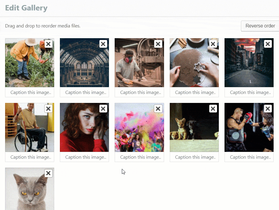 Reordering images in the image carousel