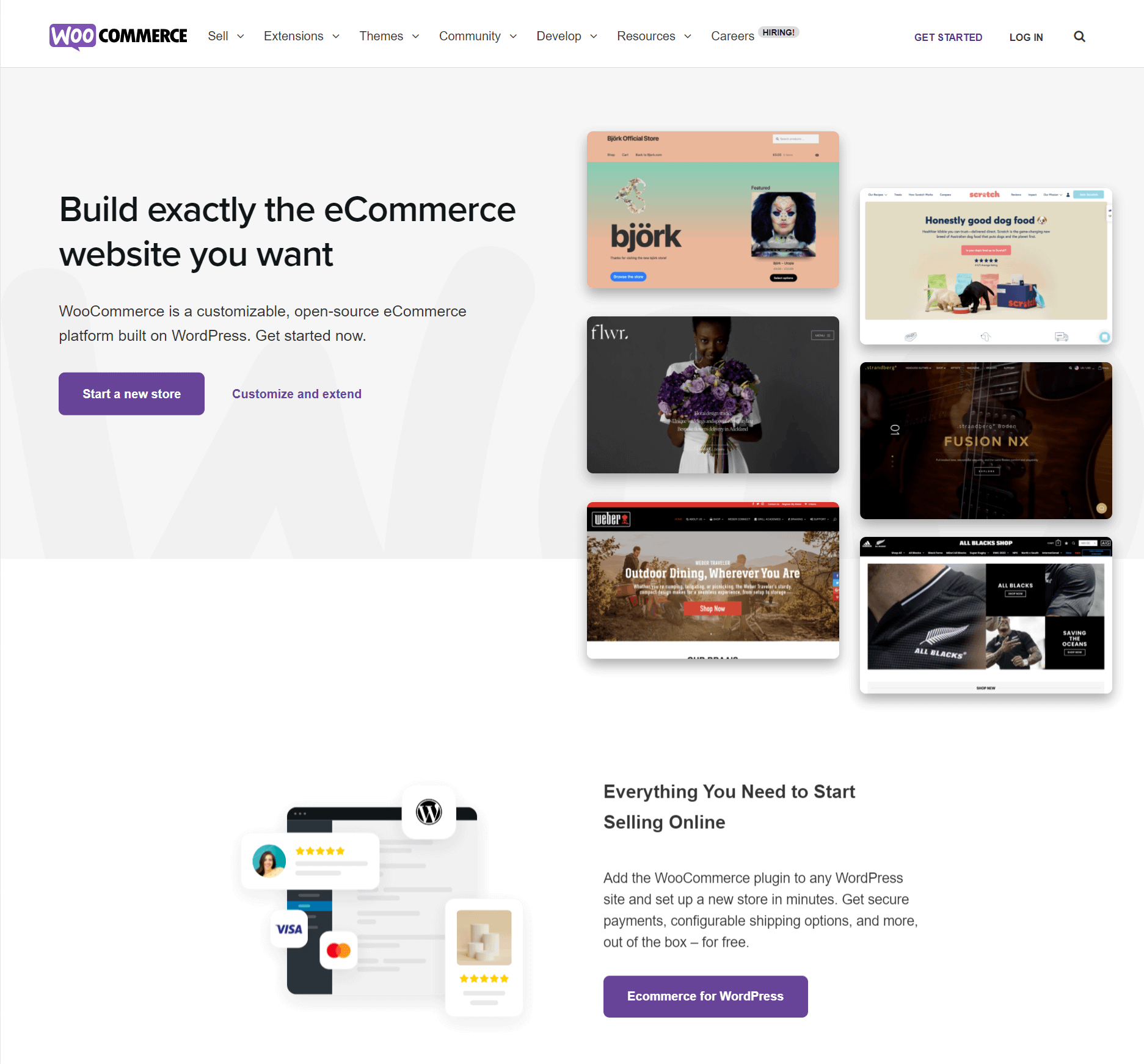 https://mlpxhq8ztvyc.i.optimole.com/QgmSm9c.1pLW~44a4f/w:auto/h:auto/q:100/https://thrivethemes.com/wp-content/uploads/2022/03/WooCommerce.png