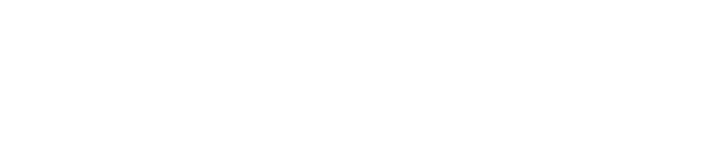 Bookwise Logo_White_Big