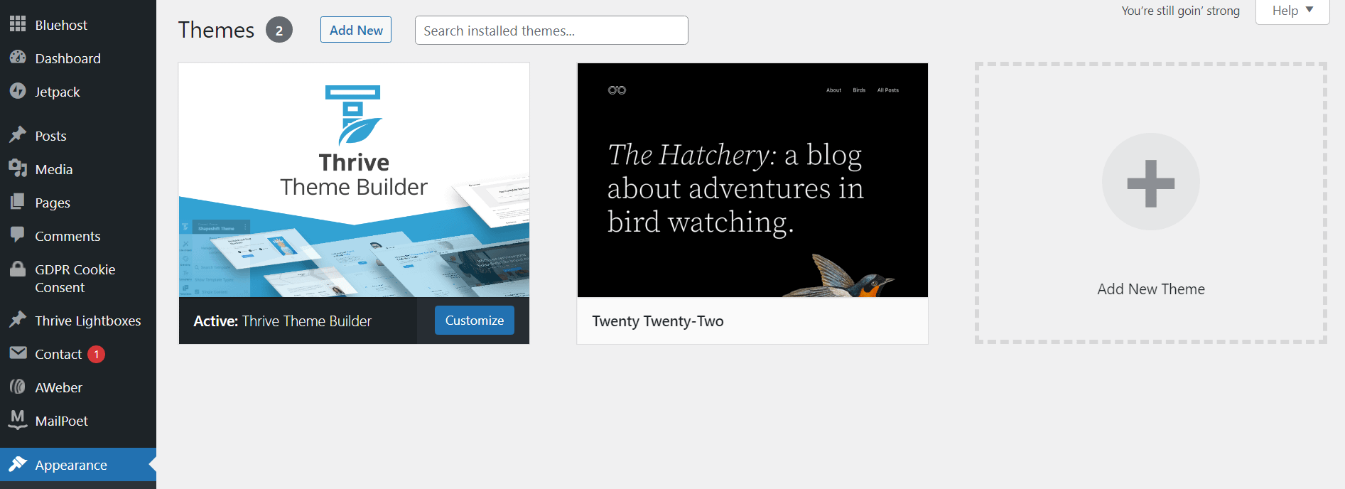 Appearance tab in WordPress Dashboard