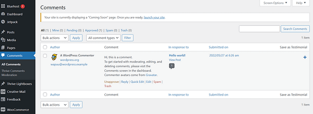 Comments section in WordPress Dashboard