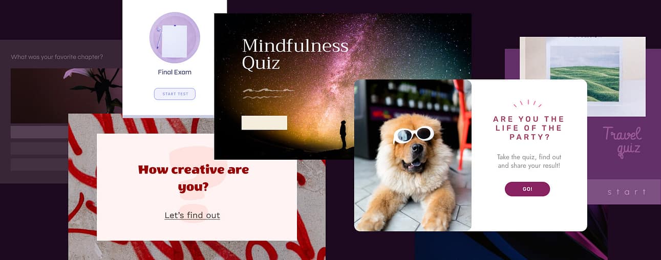 WordPress quiz builder examples