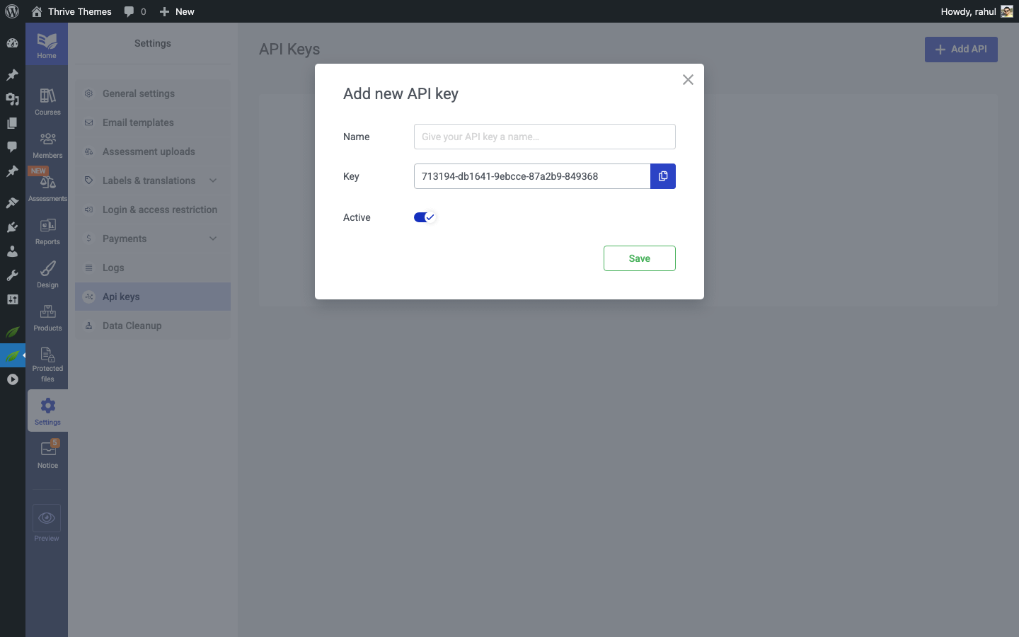 Newly generated API key displayed with the copy button available