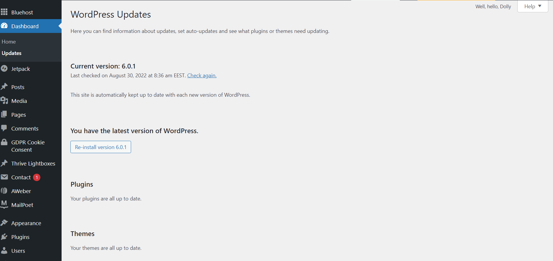 WordPress Updates page