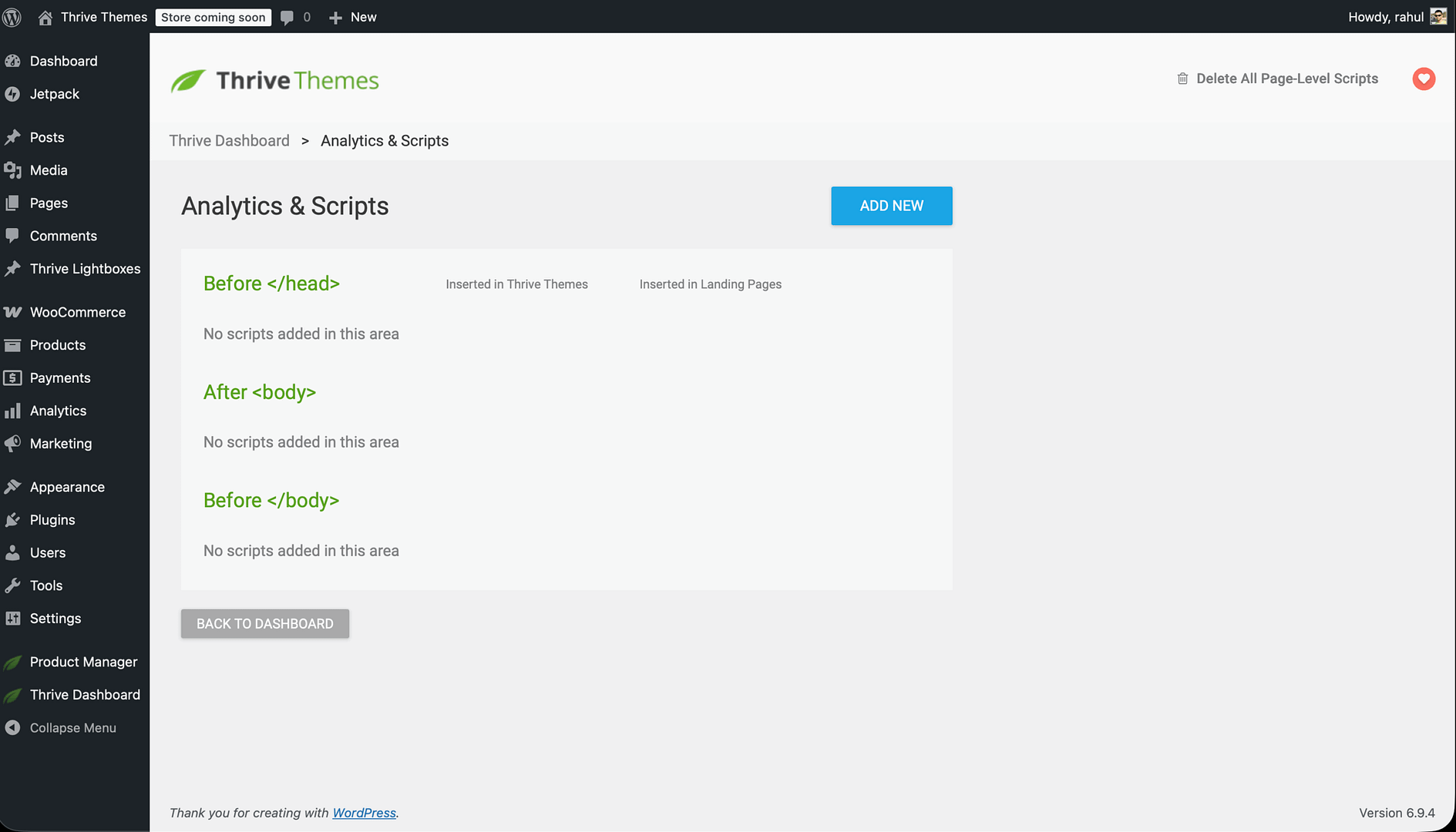 How to Add Scripts and Tracking Codes to Thrive Theme Builder
