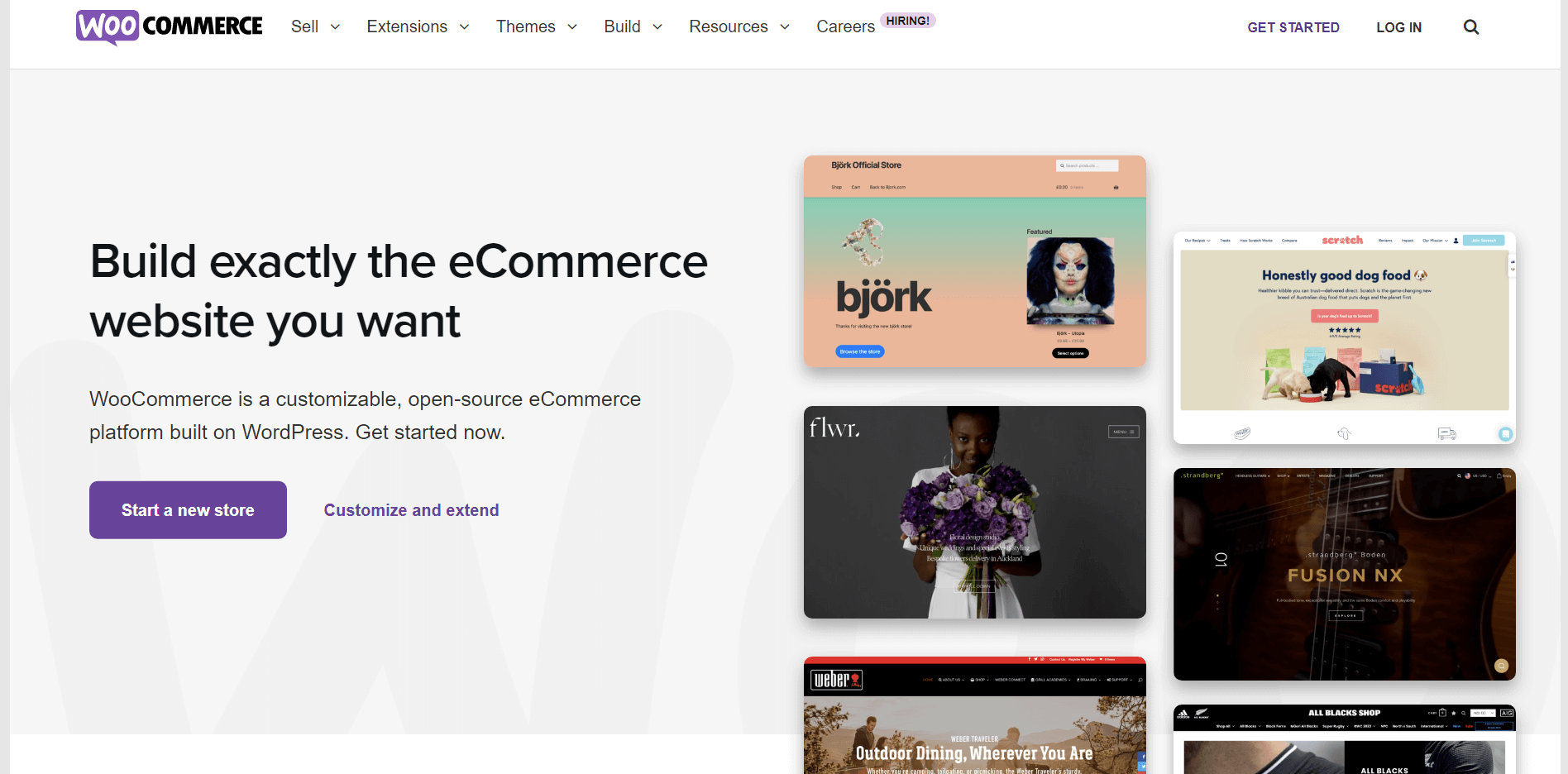 Hero section for WooCommerce homepage