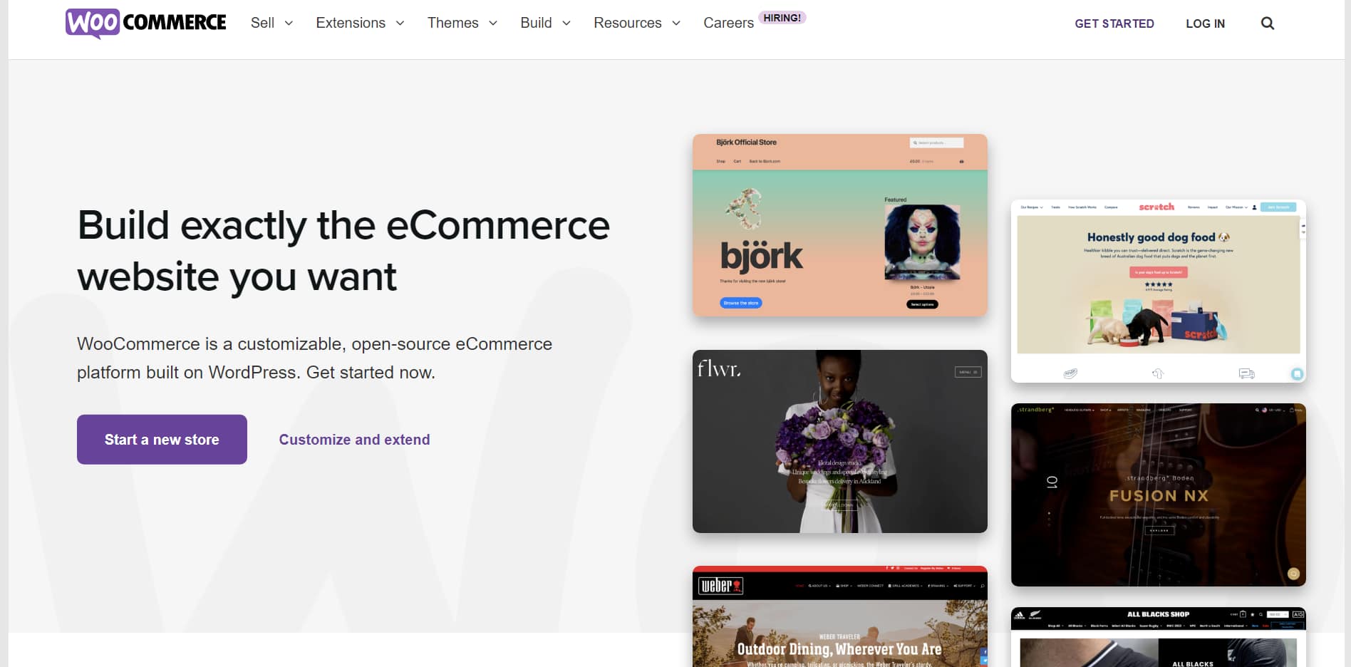 Hero section for WooCommerce homepage