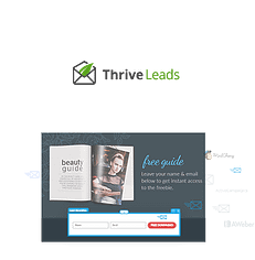 Thrive Leads example