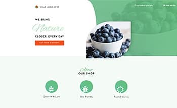 Healt-food-shop_lp