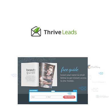 product_small_03a Thrive Leads example