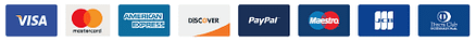 Payment Options at ThriveThemes.com Payment Options at ThriveThemes.com