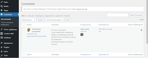 Comments section in WordPress Dashboard
