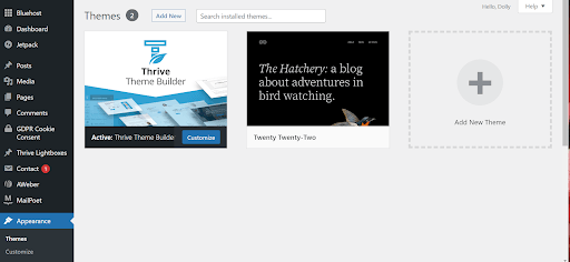 Appearance tab in WordPress Dashboard