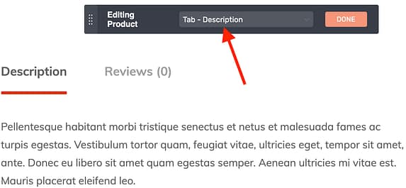 Woo Edit Description Tab