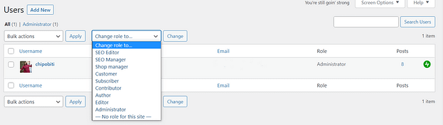 “Users” tab in WordPress Dashboard