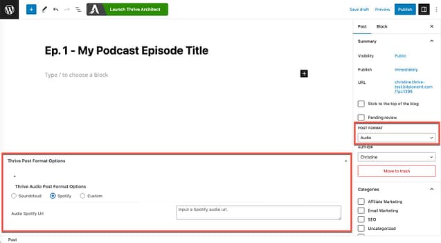 Audio Post Format Options
