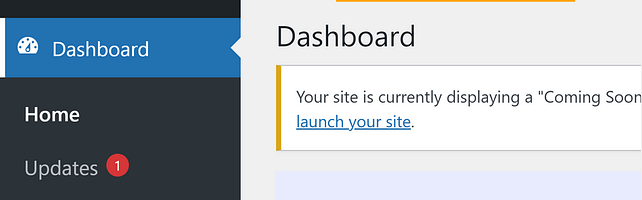 Snapshot of update alerts in the WordPress Dashboard