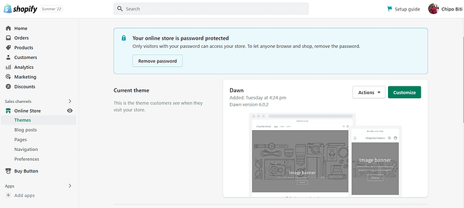 Snapshot of the Themes section in the Shopify dashboard