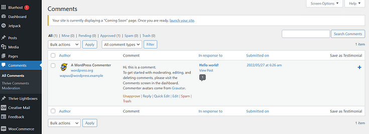 Comments section in WordPress Dashboard