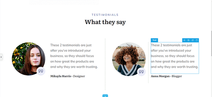 Social Proof Screenshot of a Social Proof section on a Landing Page