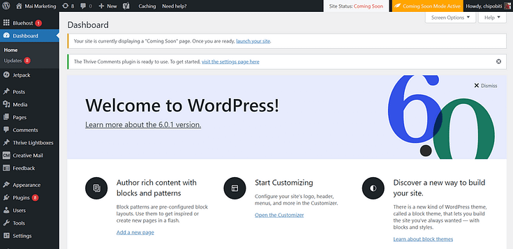 WordPress Admin Dashboard