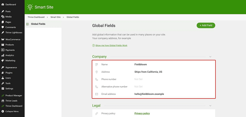 smart-site-global-fields-fieldbloom Smart Site Global Fields in Thrive Dashboard with Fieldbloom's company name, address and email filled in
