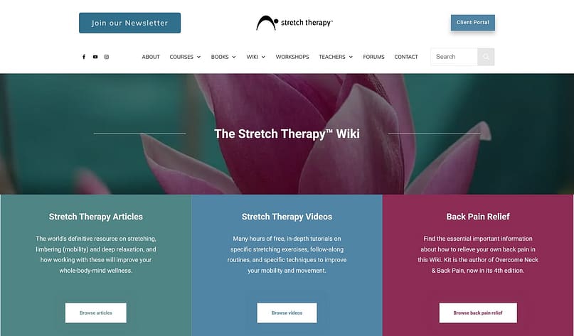 stretch-therapy-wiki-blog-hub-thrive-architect