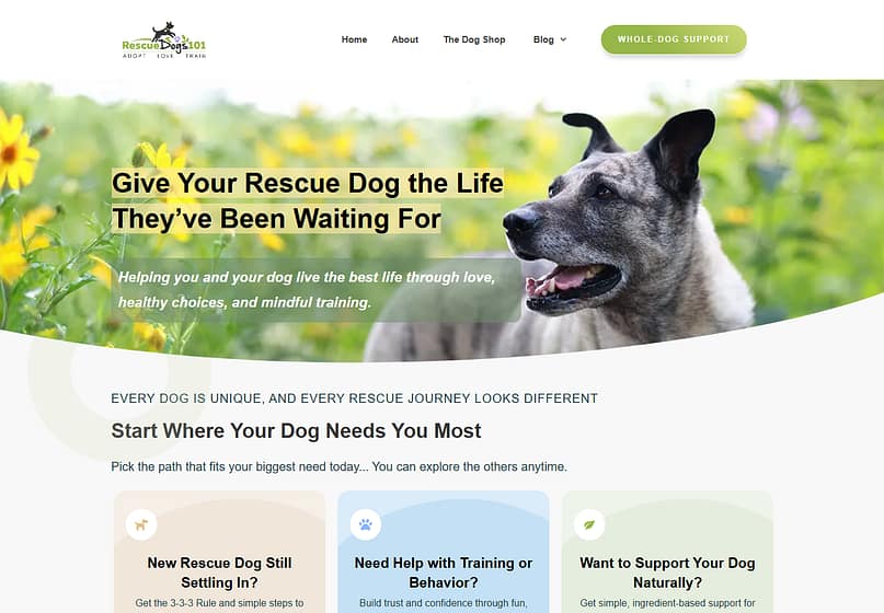 hero-rescuedogs101