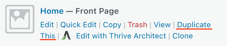 Duplicate Page duplicate this function
