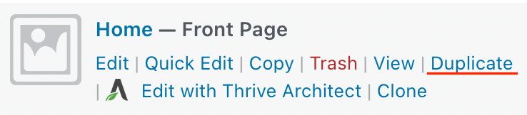 Duplicate Page and Post duplicate function