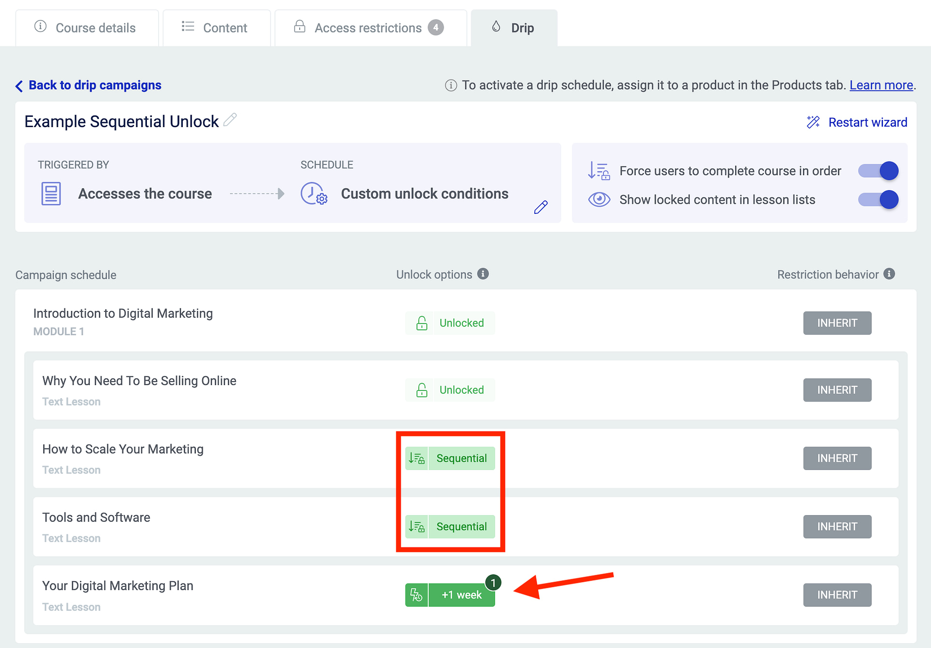 Sequential drip with custom rules