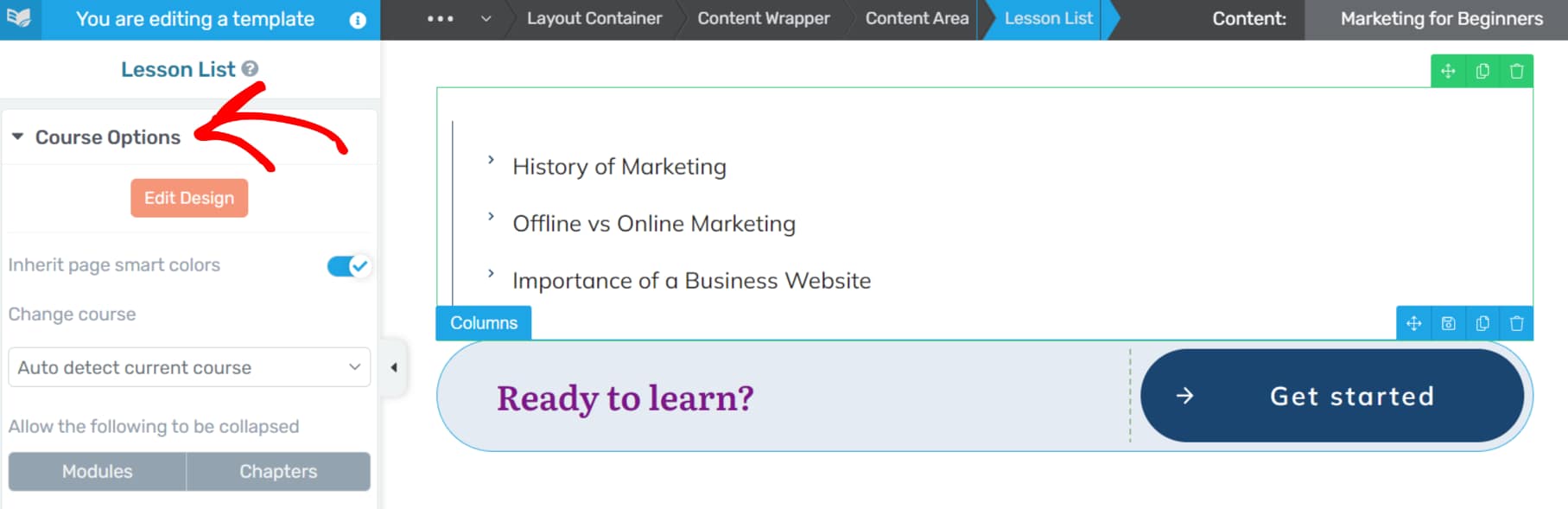 The Course Options section in the left panel
