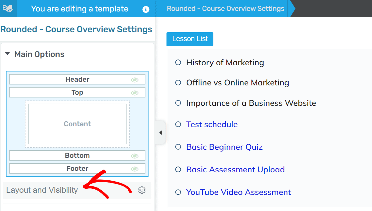 Layout and Visibility option under Main Options